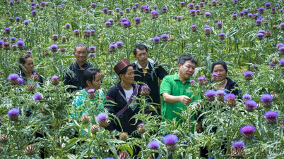 Lao Cai memiliki 3 individu yang diakui dengan gelar di Program "Kebanggaan Petani Vietnam" pada tahun 2025