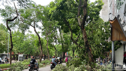 Hanoi: Vigilar de cerca la evolución de la tormenta Ragasa y contar con planes de aprendizaje adecuados para los estudiantes.