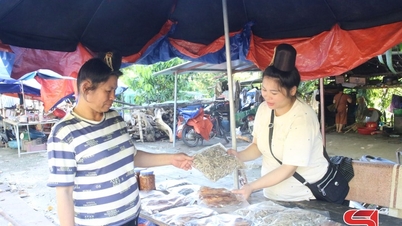 Phát triển nghề chế biến thủy sản vùng hồ thủy điện Sơn La