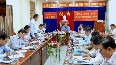 Secretarul provincial al partidului, Nguyen Ho Hai, lucrează cu Comitetul de organizare al Comitetului provincial al partidului la organizarea și munca de personal după fuziune.