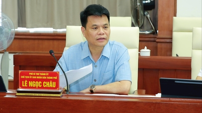 Hai Phong ផ្តោតលើការឆ្លើយតបនៅកម្រិតខ្ពស់បំផុតដើម្បីព្យុះ Ragasa