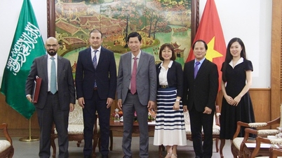 Tăng cường mối quan hệ hợp tác trên các mặt văn hóa, thể thao và du lịch giữa Việt Nam và Saudi Arabia