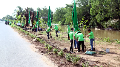 Competition "Protect the environment, say no to plastic waste"