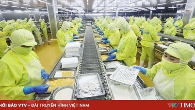 Thủ tướng chỉ thị các nhiệm vụ, giải pháp thúc đẩy xuất khẩu, phát triển thị trường ngoài nước