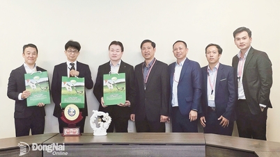 Tăng cường hợp tác chiến lược giữa tỉnh Đồng Nai và METI - Kyushu