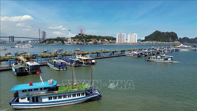 Công bố chiến dịch kích cầu du lịch Quảng Ninh năm 2025