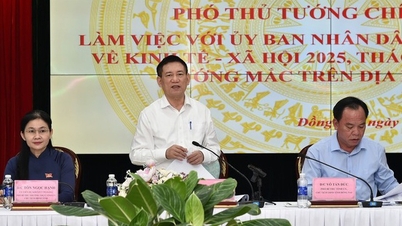 Phó thủ tướng Hồ Đức Phớc: Đồng Nai có nhiều tiềm năng, cơ hội dẫn đầu tăng trưởng kinh tế