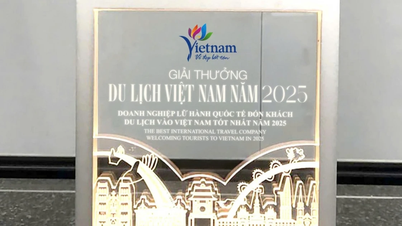[Infographic] 11 hạng mục của Giải thưởng Du lịch Việt Nam năm 2025