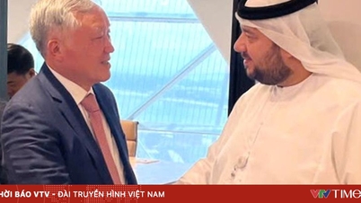 Vietnamul dorește să promoveze în continuare cooperarea multilaterală cu Emiratele Arabe Unite.