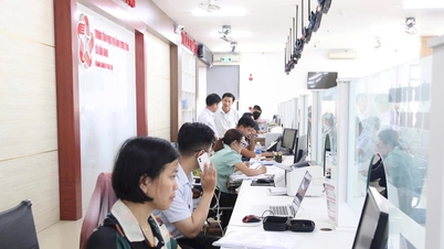 Puesta a prueba de 27 servicios administrativos públicos proactivos