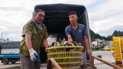 Van Don Speciale Economische Zone is druk voor storm Ragasa, reddingsdiensten staan ​​klaar