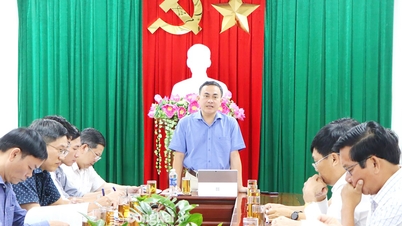 ขจัดอุปสรรคเร่ง 'กระตุ้น' โครงการท่องเที่ยวจังหวัดด่งนาย