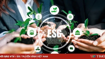 Tiêu chuẩn xanh – Chìa khóa để hàng Việt vào thị trường quốc tế