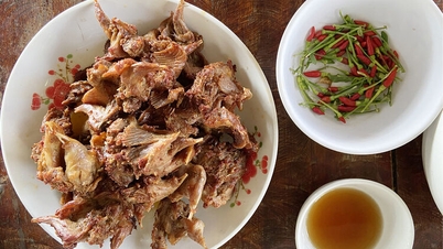 Săn đặc sản trên núi