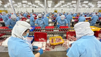 Tìm giải pháp khai thác tối đa hiệu quả của các Hiệp định thương mại tự do