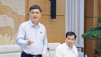 นายหวู่ ห่ง ถัน รองประธานรัฐสภา เข้าร่วมการประชุมเพื่อจัดทำเนื้อหาจำนวนหนึ่งที่จะนำเสนอต่อรัฐสภาในการประชุมสมัยที่ 10