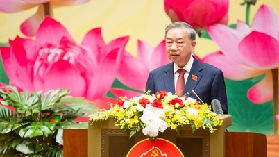 Das Parteikomitee der Nationalversammlung wird seiner historischen Verantwortung erfolgreich nachkommen und die vietnamesische Nationalversammlung immer stärker und weiterentwickelt machen.