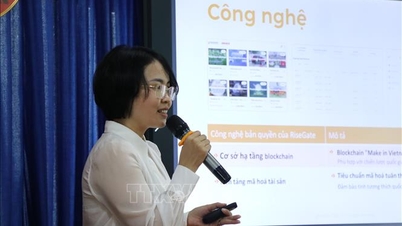 Đà Nẵng: Thúc đẩy hệ sinh thái khởi nghiệp đổi mới sáng tạo