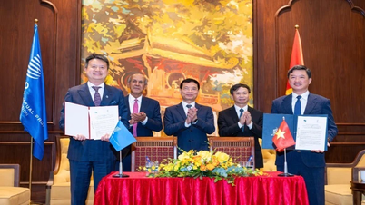 WIPO accompanies Vietnam in developing the intellectual property system