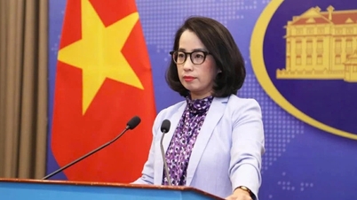 Việt Nam lên tiếng việc Mỹ từ chối công nhận 12 nghề khai thác hải sản