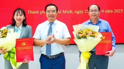 Bổ sung ông Dương Hồng Thắng và bà Phạm Thị Thanh Hiền vào Ban Thường vụ Đảng ủy UBND TP.HCM