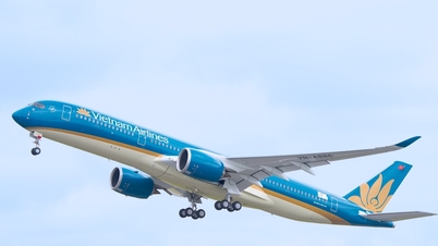Vietnam Airlines và Singapore Airlines triển khai hợp tác liên danh