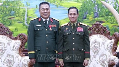 Tăng cường hợp tác quốc phòng giữa hai nước Việt Nam - Lào