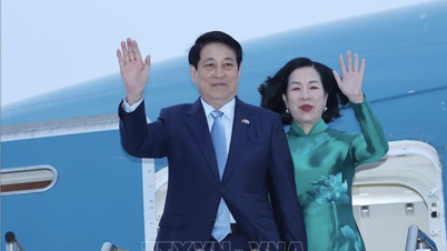 大統領は、米国での二国間行事を兼ねて、第80回国連総会のハイレベル一般討論に出席するプログラムを無事に終了した。