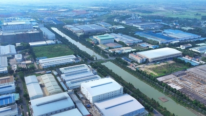 Tay Ninh streeft ernaar om tot de top 10 van gemeenten te behoren op het gebied van de groene index