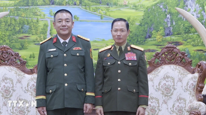 Die Verteidigungskooperation zwischen Vietnam und Laos wird immer enger und stärker