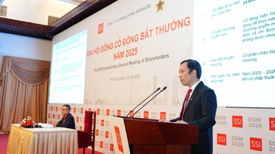SSI chào bán thêm 415,6 triệu cổ phiếu cho cổ đông hiện hữu