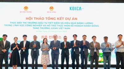 Việt Nam, Hàn Quốc hợp tác thúc đẩy tăng trưởng xanh và sử dụng năng lượng hiệu quả