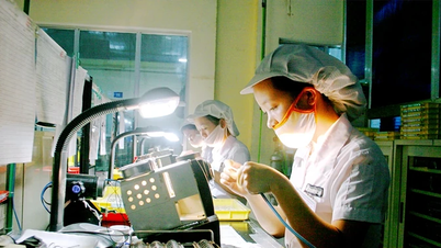 “Chuyển đổi xanh” - động lực phát triển bền vững