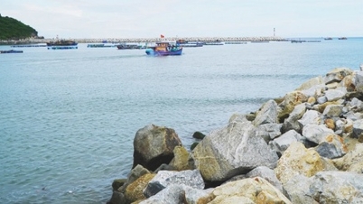 Quang Ngai adjusts public investment capital for projects that cannot be disbursed.