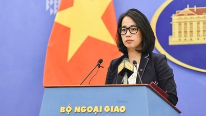 Vietnam is ready to work with the United States to remove obstacles in seafood trade.