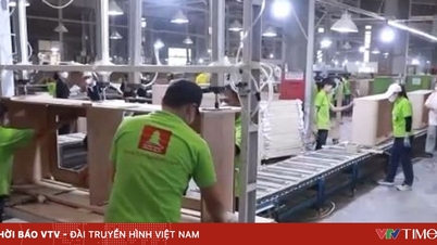 Ngành gỗ Việt Nam khẳng định vị thế trên bản đồ cung ứng toàn cầu