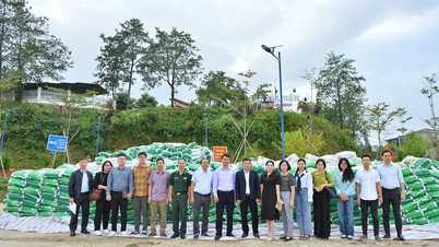 Bàn giao Dự án “Hỗ trợ phát triển sản xuất cho các hộ trồng rau cải củ tại Xín Mần”