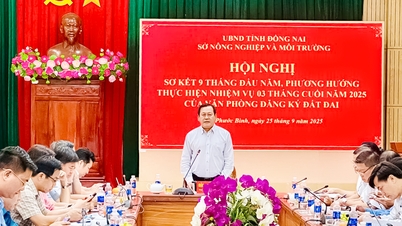 Tiếp nhận gần 112 ngàn hồ sơ đất đai trong 3 tháng đầu thực hiện chính quyền địa phương 2 cấp
