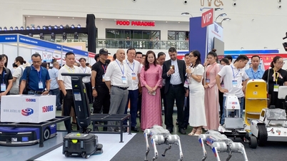 គាំទ្រសហគ្រាសឧស្សាហកម្ម៖ ជំនះឧបសគ្គនៃការតភ្ជាប់ និងបង្ហាញពីសមត្ថភាព