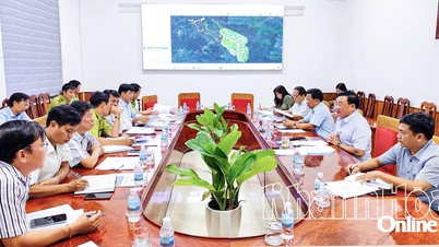 Sớm khai thác tận thu lâm sản, tích nước hồ chứa nước Sông Chò 1