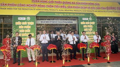 Giới thiệu, quảng bá sản phẩm nông sản, công nghiệp nông thôn tiêu biểu tỉnh Quảng Trị tại TP. Hồ Chí Minh