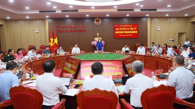 Quang Ngai-provinsens partisekreterare: Behov av att snabbt säkerställa källan till deponimaterial för Dung Quat-raffinaderiet och petrokemiska komplexprojektet