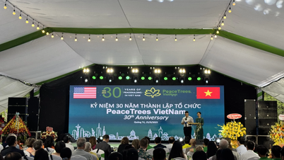 Peace Trees Vietnam 30 năm đồng hành cùng Quảng Trị khắc phục hậu quả chiến tranh