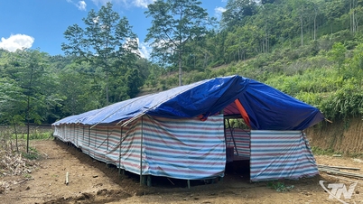 Nghien Loan៖ ជម្លៀសប្រជាជនយ៉ាងសកម្មចេញពីតំបន់ដែលងាយនឹងបាក់ដី មុនពេលព្យុះ Ragasa