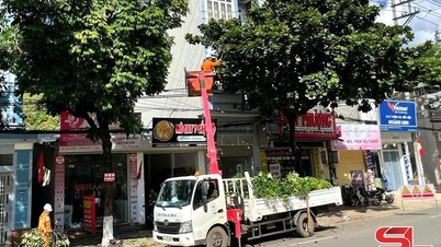 Son La Power Company는 9호 폭풍에 적극적으로 대응합니다.