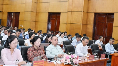 Hướng dẫn nhiệm vụ đối ngoại của chính quyền địa phương hai cấp