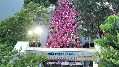 Run For Love 2025: Chạy giữa mùa thu Hà Nội, chạm vào yêu thương