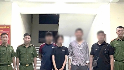 行方不明の女子学生、家族は捜索を約束する奇妙な電話を何度も受けた