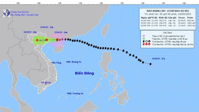 Sturm Nr. 9 (Ragasa) mit Windstärke 11, etwa 170 km von Mong Cai (Quang Ninh) entfernt