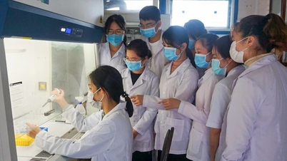 Vietnamský vědec mezi globálními vlivnými osobnostmi, průkopníky v biomedicínském výzkumu